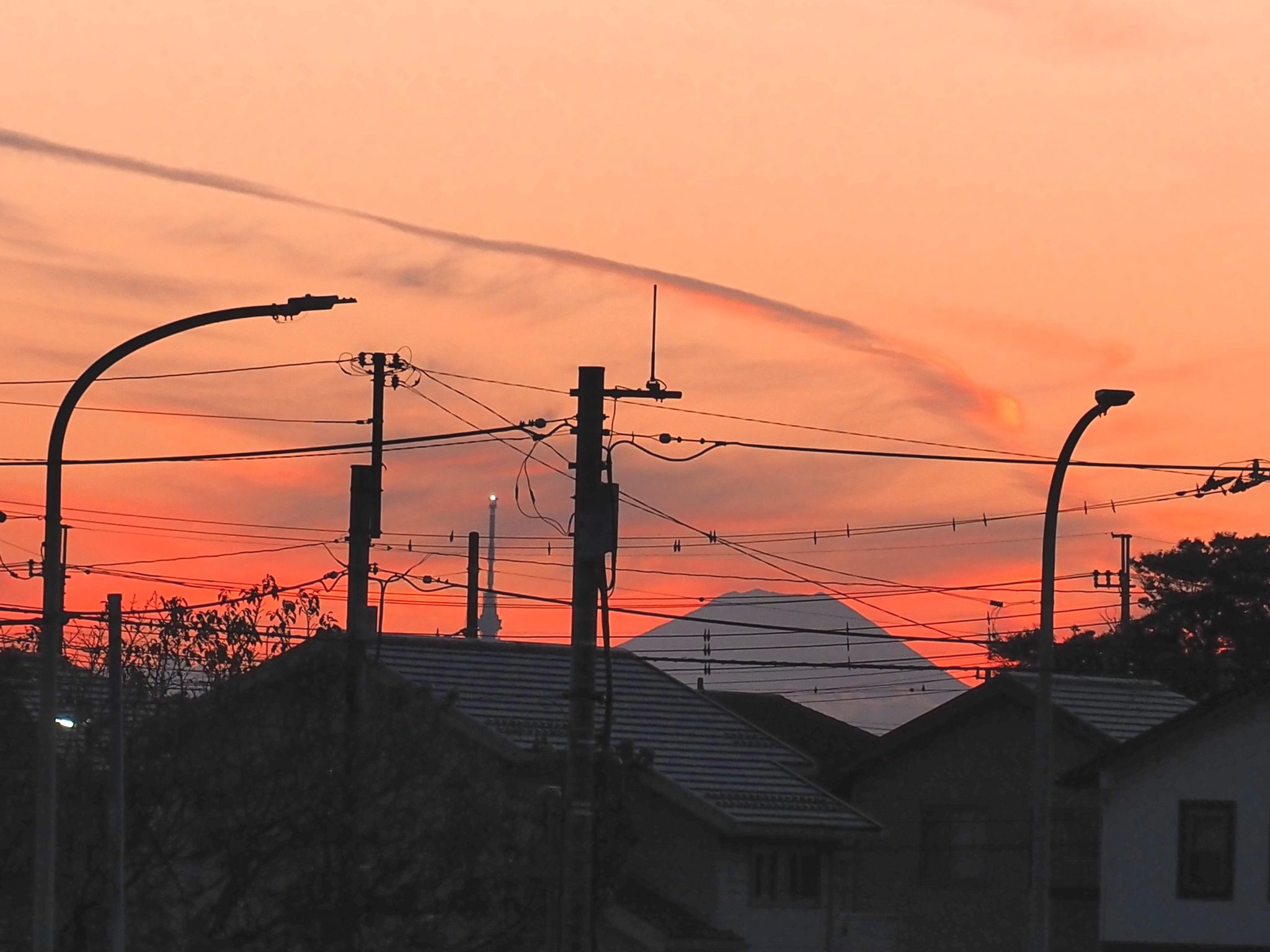 フォトまち便り「Hello Local」vol.53 白井写真部 ~白井と富士山~ PHaT PHOTO